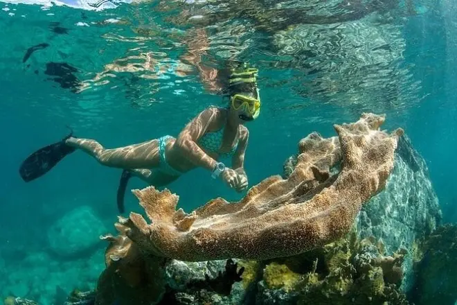 Catamarã Flying Frenchman em St. Thomas com snorkel e almoço