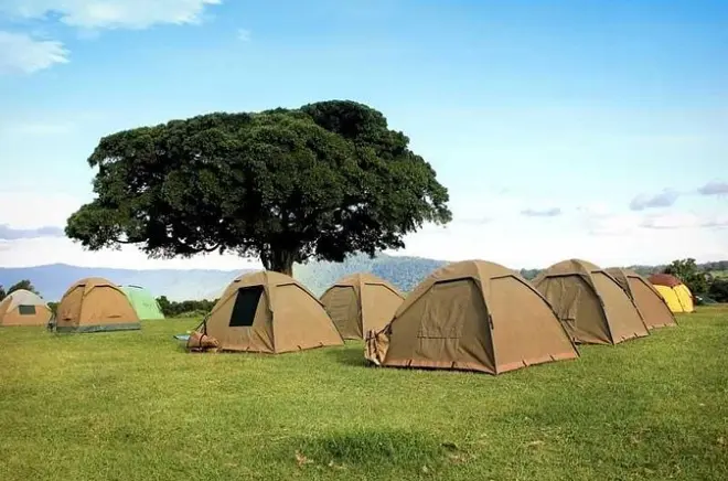 Safari de 4 días por Tarangire, Serengeti y Ngorongoro desde Arusha