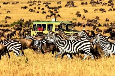 Safari Tanzanie 7 jours : Serengeti, Ngorongoro et Tarangire