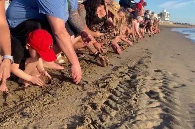 Lâcher de tortues marines à Mazatlan : Conservation et journée plage