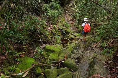 Rafting Khao Sok National Park: Jungle Trek & Bamboo River