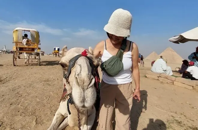 Piramidi di Giza con Saqqara, Memphis e giro in cammello