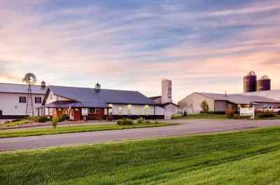 Kansas City Shatto Milk Farm: Kälber treffen und Milch probieren