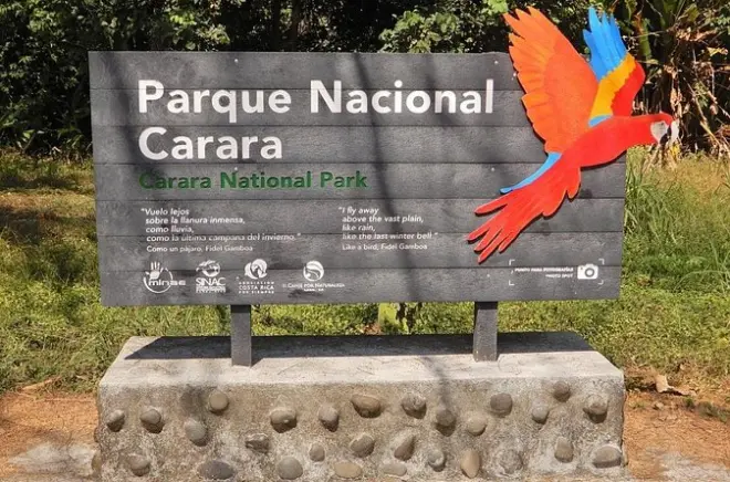 Parque Carara: Avistamiento de guacamayas escarlata y trogones