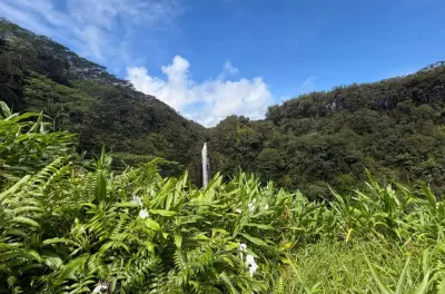 Hilo : Tortues marines, cascades et plage de sable noir