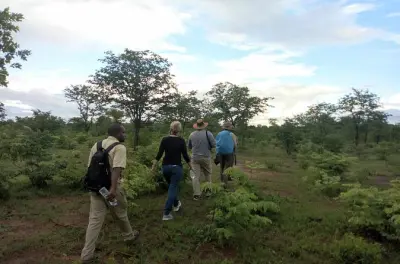 Rhino & Nature Walk: Musi-oa Tunya National Park Safari
