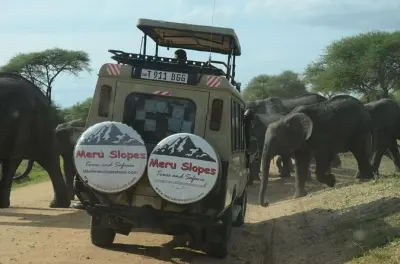 Parque Nacional Tarangire: Tour privado de um dia saindo de Arusha