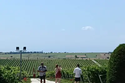 Degustación en Ktima Gerovassiliou, bodega top 50 mundial