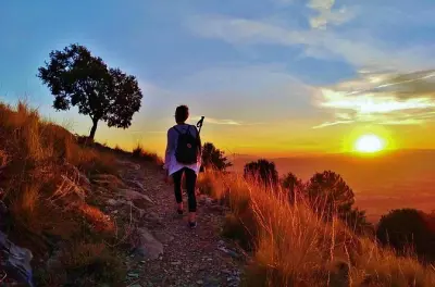 Sunset Hike Sierra Nevada from Granada: Dog-Guided Mountain Walk
