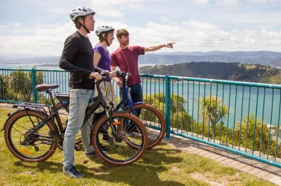 Erlebe wellington auf einer geführten e-bike-tour – entlang der buchten, mit kaffee am hafen, spannenden māori-geschichten und traumhaften ausblicken. inkl. rad, helm & lokalem guide.