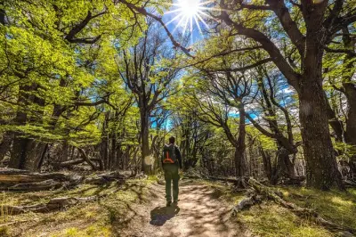 Excursion à El Chaltén depuis El Calafate : Deux randonnées guidées