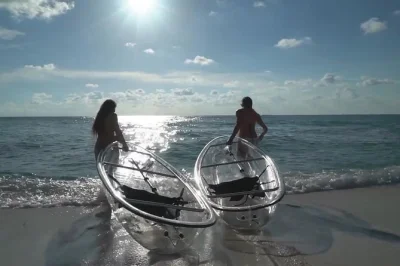 Erkunde mit einem lokalen guide die glasklaren kajaks durch shell keys mangroven. entdecke delfine, rochen und vögel auf dieser kleinen st pete Öko-tour.