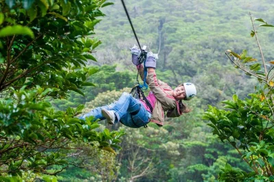 Feel the cloud forest come alive in monteverde with a guided sky walk, panoramic tram ride, and ziplining above the canopy. includes hotel pickup and small group size.