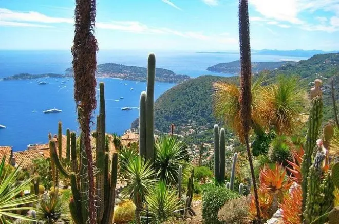 French Riviera tour from Port Villefranche: 5 stops in 8 hours