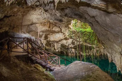 Disfruta un día en cenotes zapote ecopark: nada en cuatro cenotes, vuela en tirolinas sobre la selva, saborea un buffet regional y relájate en hamacas. entrada y comida incluidas.