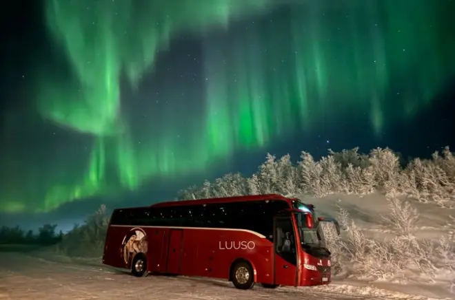 Northern Lights Chase Alta: 5-hour guided tour