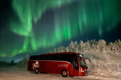 Nordlichtjagd Alta: 5-stündige geführte Tour