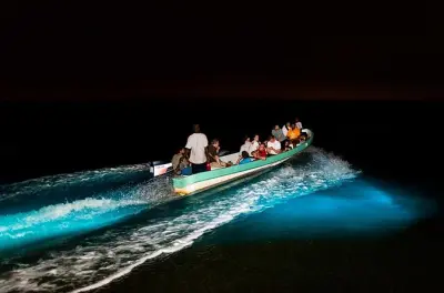 Lagune Anderson bioluminescente : Eau qui s'illumine la nuit