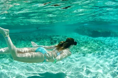 Erlebe tulum mit mimosas zum start, erkunde antike ruinen, schwimme in drei einzigartigen cenoten, probiere echten tequila und genieße ein lokales mittagessen – alles mit guide und kleiner gruppe. 