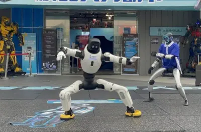 Shenzhen Tech & Culture Tour: Private Guide, Robot Stores