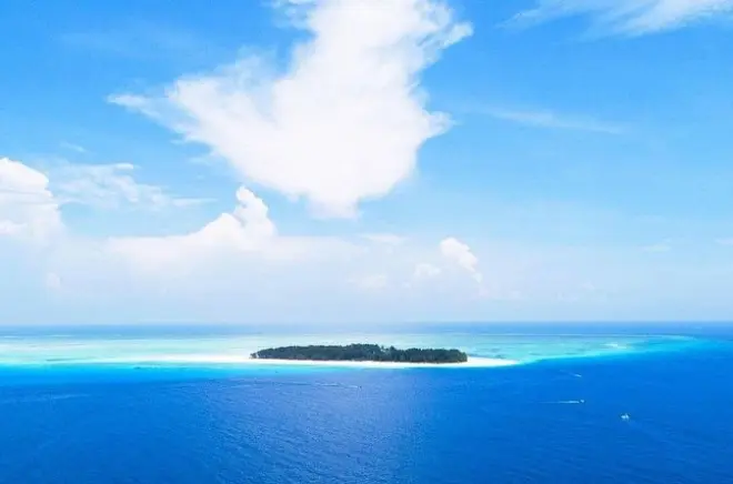 Snorkeling à Zanzibar : Île Mnemba, dauphins et tortues marines
