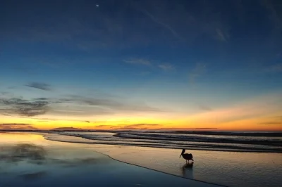 Start your el salvador beach escape with a private transfer from san salvador airport to el cuco or punta mango. ride in comfort, meet your driver at arrivals, and head straight to the surf.