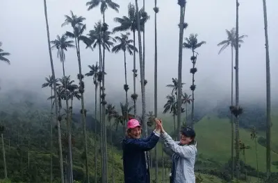 Tour privato di un giorno nella Valle del Cocora e Salento