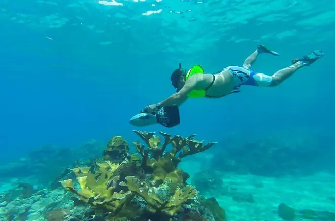 Depuis Castries, pilotez un bateau rapide pour snorkeler à Soufrière