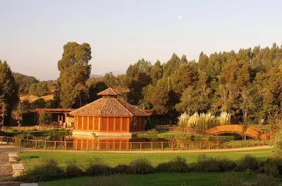 Visite du vignoble Matetic à Santiago : Dégustation de vins bio