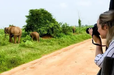 Yala Safari Day Trip from Bentota: 4-hour Jeep Safari with Lunch