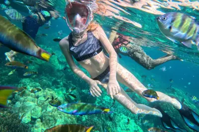 Snorkel en Ko Lipe: 7 islas y 8 sitios en bote longtail