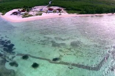 Snorkeling à Freeport : Paradise Cove avec transfert