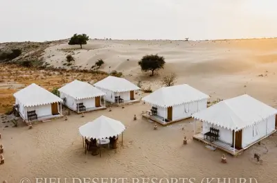 Désert du Thar : Balades à dos de chameau et camping sauvage depuis Jaisalmer