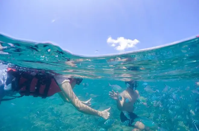 Snorkel em Koh Samui: Pig Island, Koh Tan e caiaque