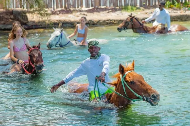 Randonnée à cheval à Montego Bay : Balade et baignade