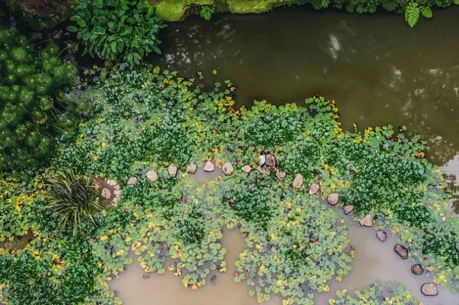 Furnas e giardini Terra Nostra con guida biologa e pranzo
