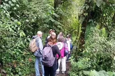 Tour de observação de aves em Mindo: Refúgio La Paz e beija-flores
