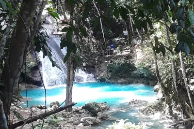 Feel the rush at jamaica’s blue hole near ocho rios—jump, swim, and swing with a local guide. includes hotel pickup and a chance to stop at local shops.