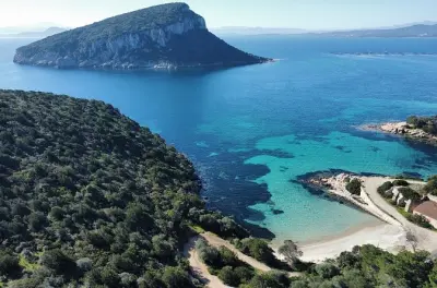 Snorkeling in Sardegna: Barca privata con avvistamento delfini