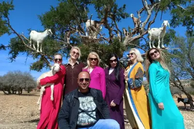 Essaouira zu Fuß: Hafen, Festung & Medina mit Guide