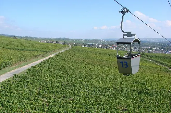 Rüdesheim passeio privado a pé: Ruas medievais e castelo no Reno