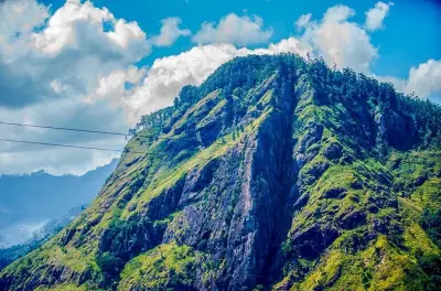Zipline e escursione a Little Adam's Peak da Ella