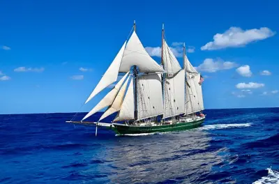 Atardecer en St Croix: Navega en el velero Denis Sullivan