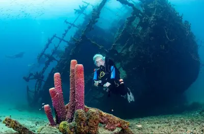 Aruba Guided Night Dive: Shallow Reefs or Shipwrecks