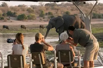 Chobe National Park Safari: River & Game Drive