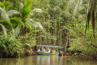 Découvrez les mangroves d’isla damas au costa rica, observez singes et paresseux, dégustez des fruits frais et profitez d’une balade en bateau accessible avec guide local certifié.