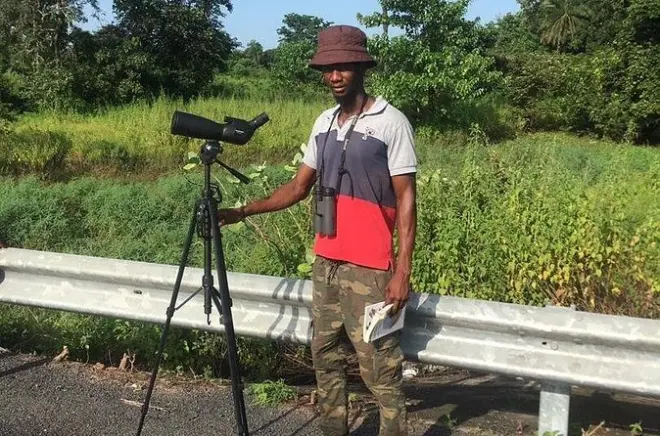 Birdwatching in Gambia: Foreste e zone umide con binocoli