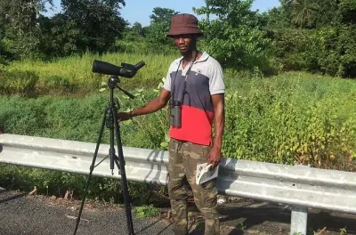 Avistamiento de aves en Gambia: Bosques y humedales con binoculares