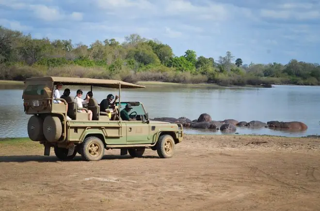 Safari de día en Selous Game Reserve desde Zanzibar: Río Rufiji