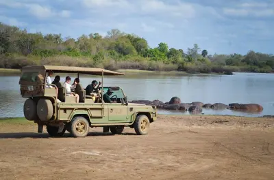 Safari di un giorno nella riserva Selous da Zanzibar: Fiume Rufiji